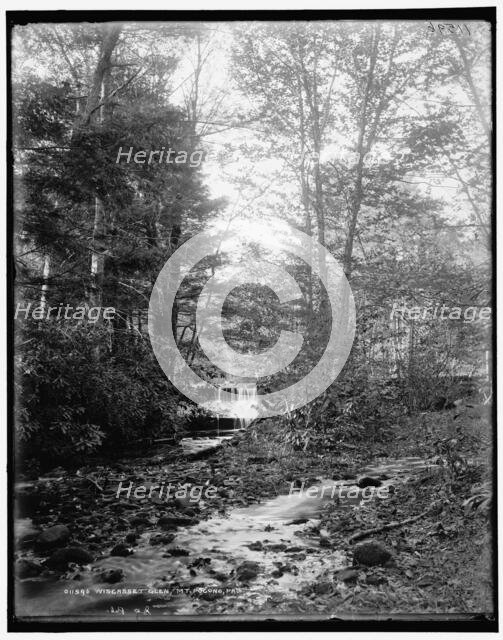 Wiscasset Glen, Mt. Pocono, Pa., between 1890 and 1901. Creator: Unknown.