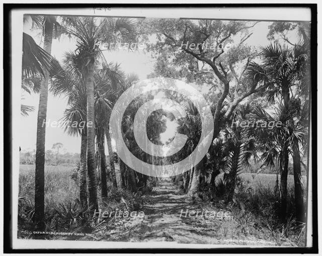 Old Causeway, near Ormond, Fla., c1894. Creator: William H. Jackson.