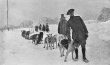 'Skieurs et chiens de guerre dans les neiges vosgiennes; Le lieutenant Haas, consul de..., 1916. Creator: Unknown.