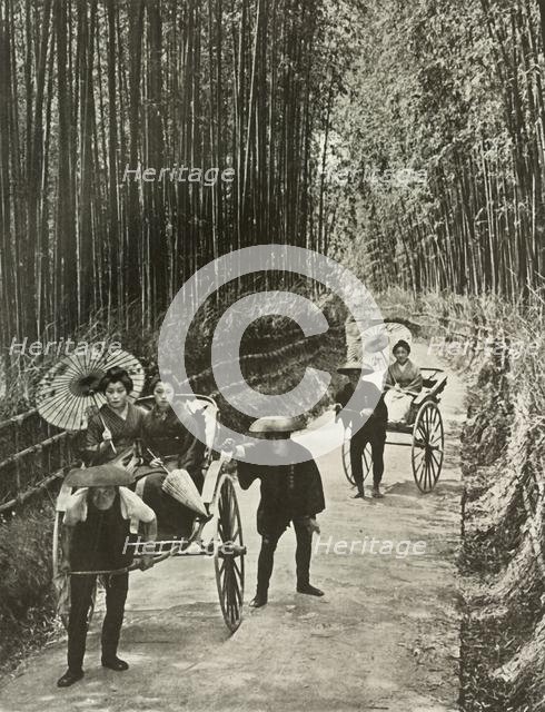 'A Bamboo Avenue at Kyoto', 1910. Creator: Herbert Ponting.