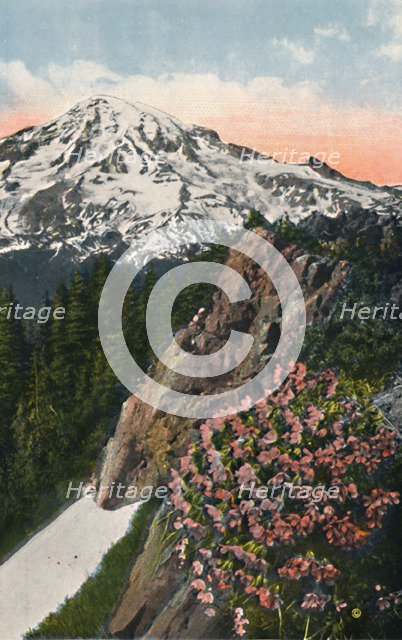 'The Primrose on Mount Rainier', c1916. Artist: Asahel Curtis.