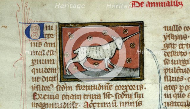 Unicorn (Initial). Liber de natura rerum, 1285-1295. Creator: Anonymous.
