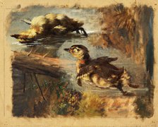 Study of Ducks on the Water I, 1840-1850. Creator: Friedrich Carl von Scheidlin.