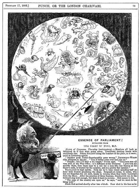 'Essence of Parliament', 1883. Artist: Harry Furniss