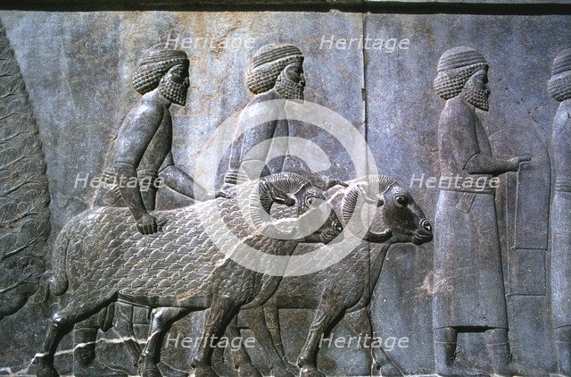 Relief of Sogdians, the Apadana, Persepolis, Iran