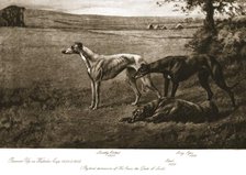 The Duke of Leeds' hounds, 1911. Creator: Maud Earl.