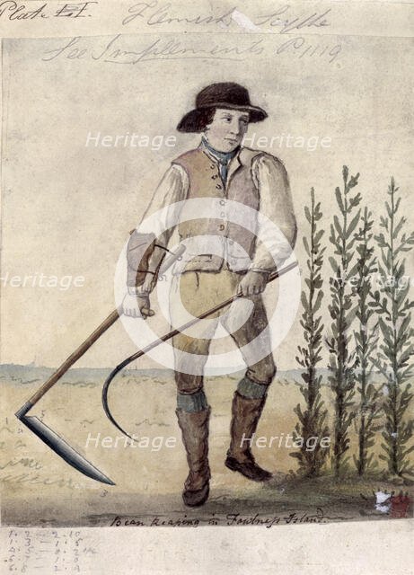 Farm worker using the Flemish scythe, c1808. Creator: Unknown.