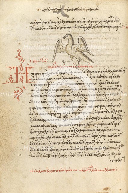 A Dove, 1510-1520. Creator: Unknown.