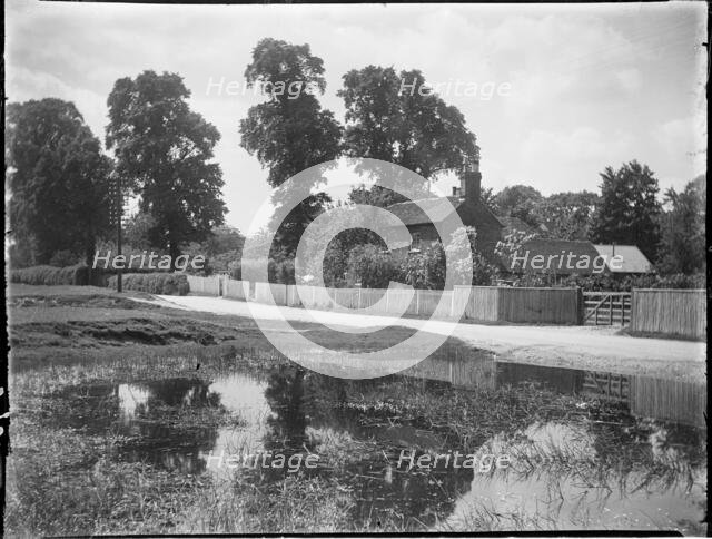 Chorleywood Common, Chorleywood, Three Rivers, Hertfordshire, 1915. Creator: Katherine Jean Macfee.