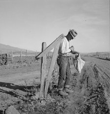 Farmer getting the morning mail, Gem County, Idaho, 1939. Creator: Dorothea Lange.