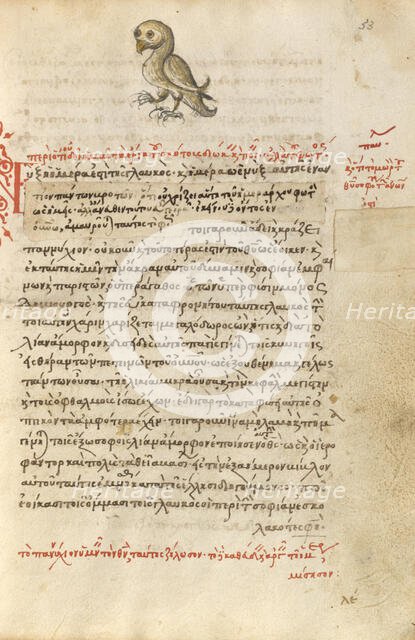 An Owl, 1510-1520. Creator: Unknown.