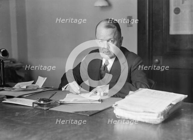 Woolley, Robert W., Commissioner, I.C.C.; Director of Mint; Director of Publicity, 1st Lib..., 1917. Creator: Harris & Ewing.