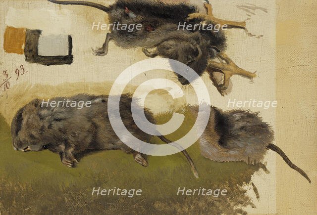 Rodents, 1893. Creator: Ferdinand von Wright.