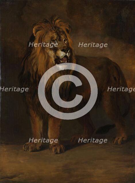 A Lion from the Menagerie of King Louis Napoleon, 1808, 1808. Creator: Pieter Gerardus van Os.