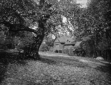 Lotta's Cottage, Hopateong (i.e. Hopatcong), N.J., between 1900 and 1906. Creator: Unknown.