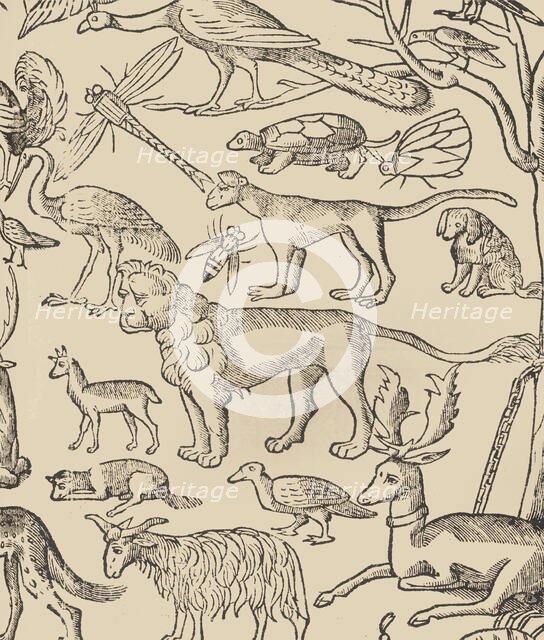 Essempio di recammi, page 13 (recto), 1530. Creator: Giovanni Antonio Tagliente.