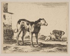 Plate 11: dogs, from 'Various animals' (Diversi animali), ca. 1641. Creator: Stefano della Bella.