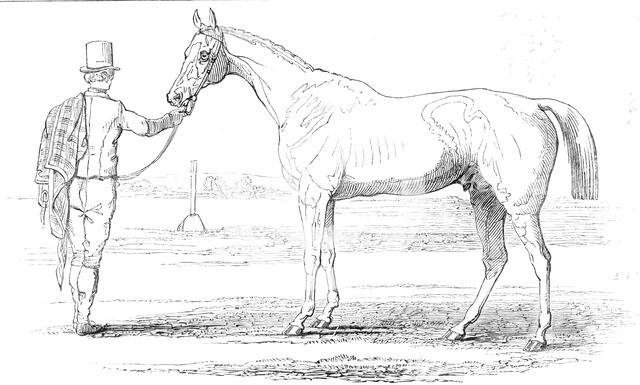 Colonel Peel's "Orlando", the winner of the Derby, drawn by J.F. Herring Sen. Esq., 1844. Creator: Unknown.