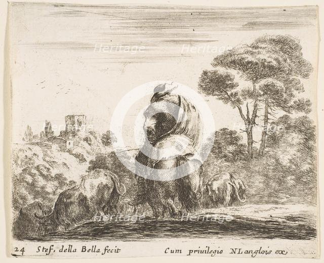 Plate 24: herdsman atop a horse, seen from behind, leads his cattle down a hill, a ..., ca. 1644-47. Creator: Stefano della Bella.