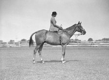 Schey, Theresa, Miss, on horse, between 1911 and 1942. Creator: Arnold Genthe.
