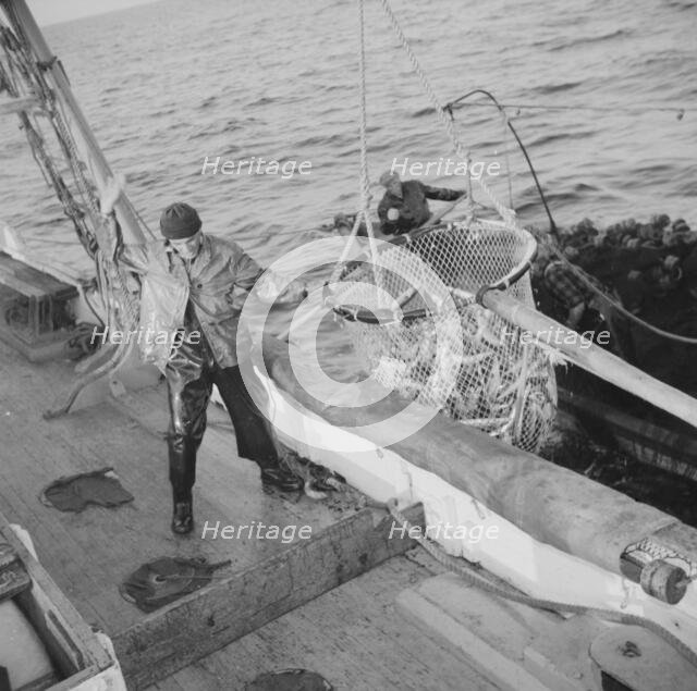 Franasco Parisi, youngest member of the Alden's crew, motioning for the skipper to hoist.., 1943. Creator: Gordon Parks.