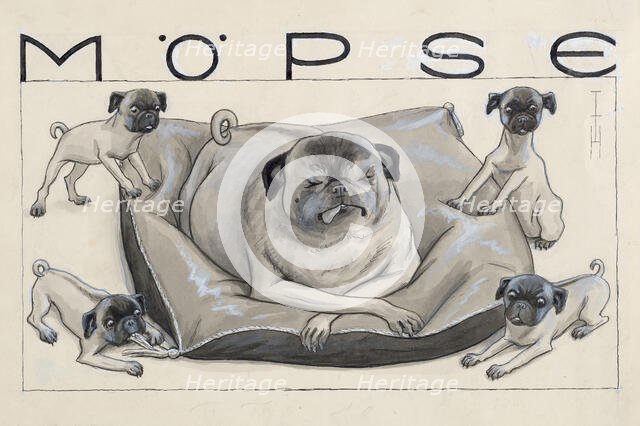 Pugs. Creator: Heine, Thomas Theodor (1867-1948).