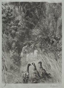 The Surprised Ducks. Creator: Félix Bracquemond (French, 1833-1914).