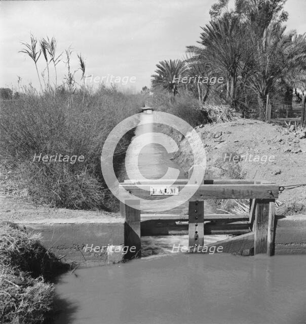 Irrigation ditch along the road, Imperial Valley, California, 1937. Creator: Dorothea Lange.