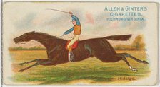 Hidalgo, from The World's Racers series (N32) for Allen & Ginter Cigarettes, 1888. Creator: Allen & Ginter.