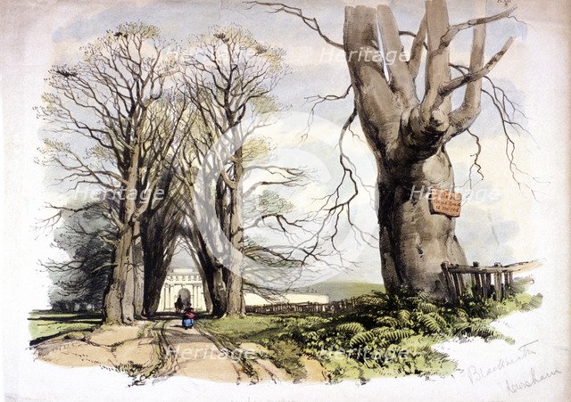 Blackheath, Greenwich, London, c1835.  Artist: Anon