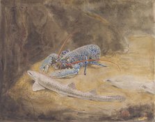 Aquarium with three North Sea fish: lobster, dogfish and plaice, c.1876-c.1924. Creator: Gerrit Willem Dijsselhof.