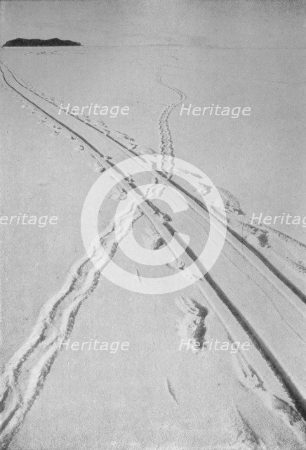 'Sledge Track Crossing An Adélie Penguin's Track', 8 December 1911, (1913). Artist: Herbert Ponting.