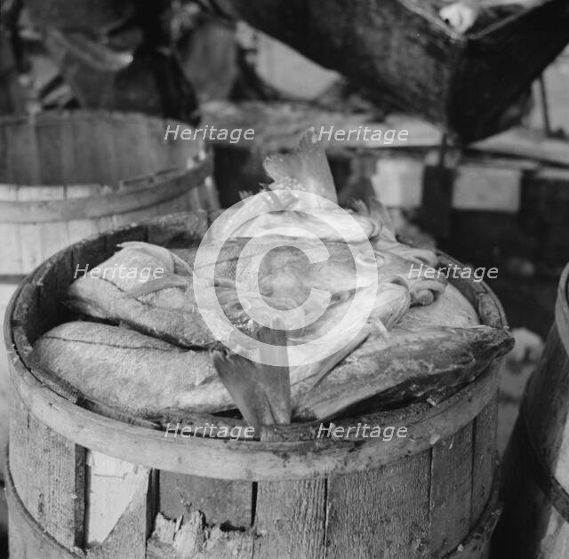 Barrels of codfish, New York, 1943. Creator: Gordon Parks.