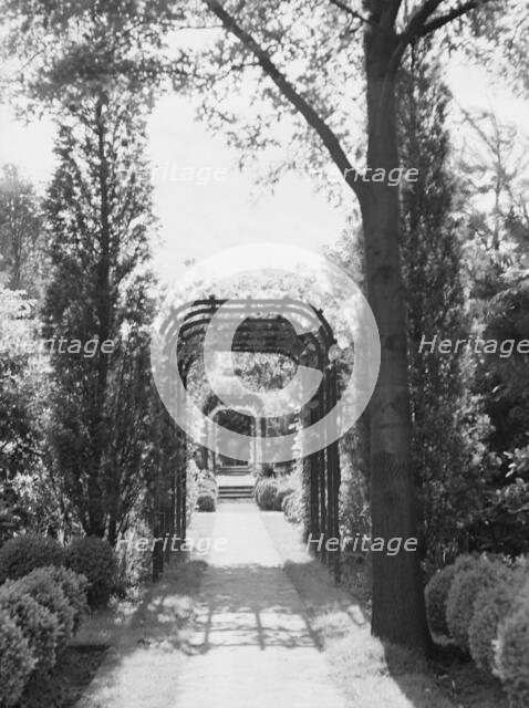 Edge, Charles N., garden, 1933 June 18. Creator: Arnold Genthe.