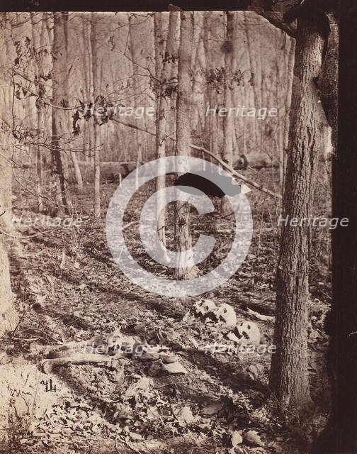 The Wilderness Battlefield, 1864. Creator: Unknown.