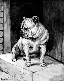 "A Thing of Beauty" - sketch at the Bulldog Show, 1890.  Creator: George Meisenbach.