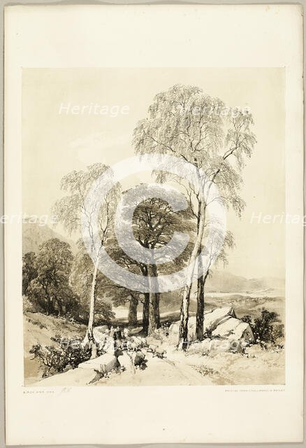 Birch and Oak, from The Park and the Forest, 1841. Creator: James Duffield Harding.