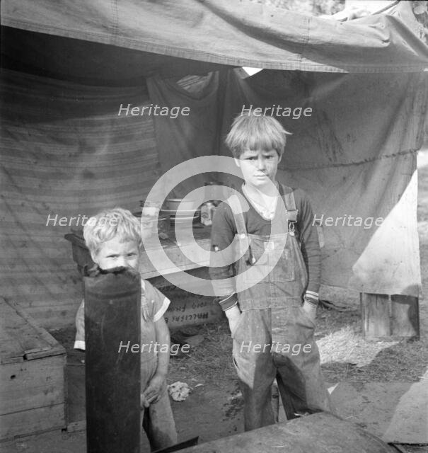 Children of destitute family, American River camp, near Sacramento, California, 1936. Creator: Dorothea Lange.