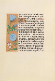 Hours of Queen Isabella the Catholic, Queen of Spain: Fol. 163v, c. 1500. Creator: Master of the First Prayerbook of Maximillian (Flemish, c. 1444-1519); Associates, and.