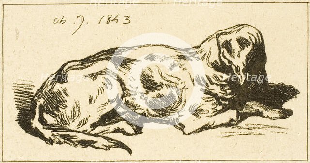 Lying Dog, 1843. Creator: Charles Emile Jacque.