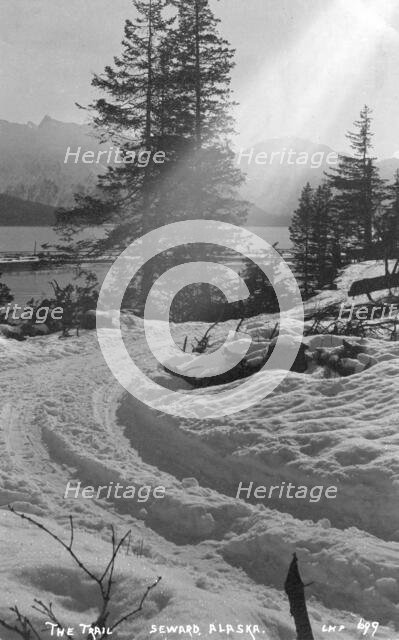 Snow covered trail, 1916. Creator: Unknown.