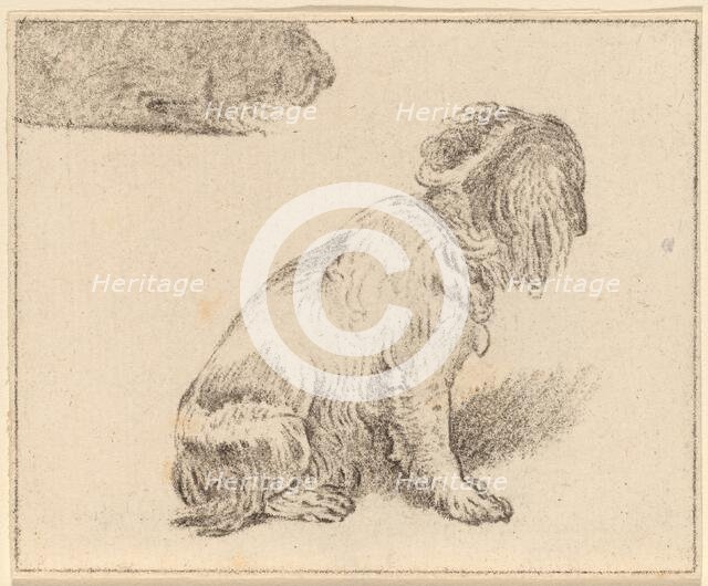 Seated Dog, 1777. Creator: Cornelis Brouwer.
