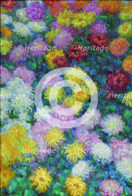 Chrysanthemums, 1897.