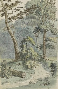 Forest path in a landscape, 1783.  Creator: Johannes Huibert Prins.