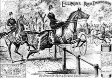 Advertisement for Elliman's Royal Embrocation, 1895. Creator: Unknown.