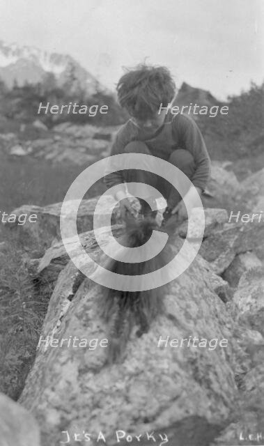 Child and porcupine, between c1900 and c1930. Creator: Unknown.