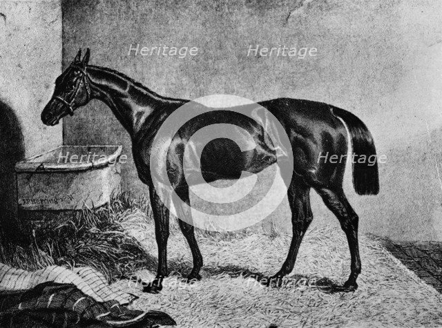 'Ghuznee', 19th century, (1911). Artist: Unknown.