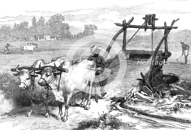 The Famine in Bengal: Indian mode of irrigation, 1874. Creator: Unknown.