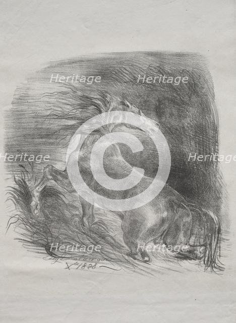 The Wild Horse, or Frightened Horse Leaving the Water, 1828. Creator: Eugène Delacroix (French, 1798-1863).