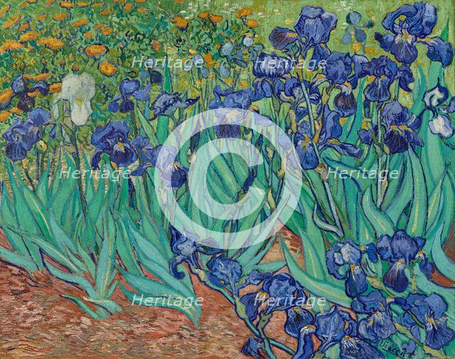 Irises, 1889. Creator: Vincent van Gogh.